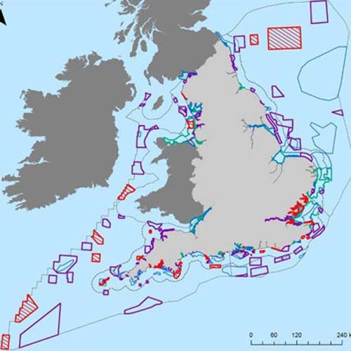 Read more about the article 127 Marine Conservation Zones –  Ditching Dogma