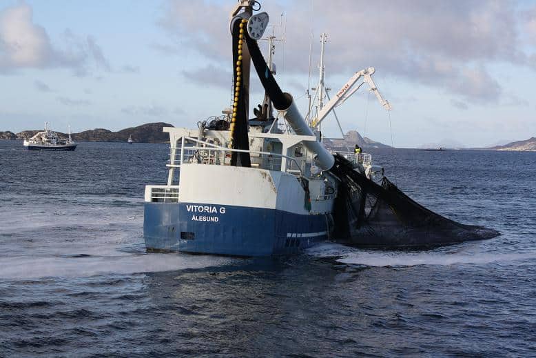 Read more about the article Growth In Exports Continues For Norwegian Seafood
