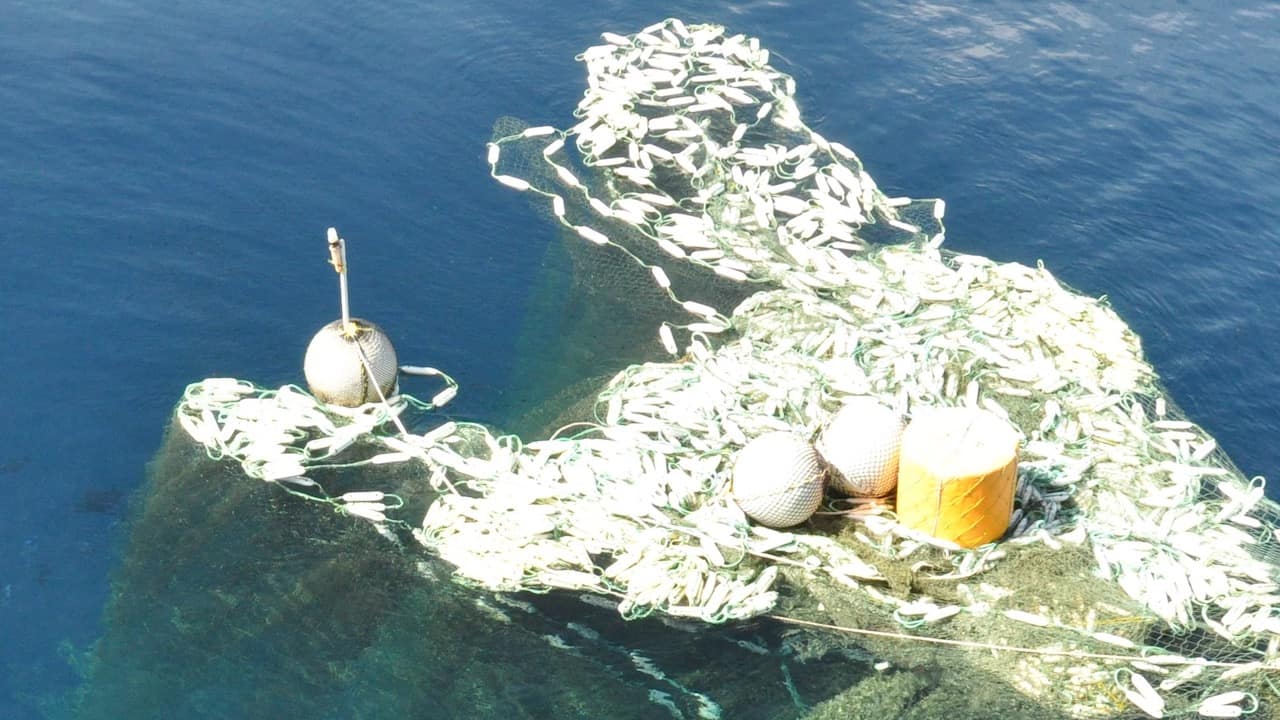 Read more about the article Ghost net cleared from the Torres Strait