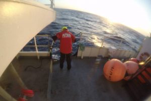 AFMA even provided a picture of a fisheries officer at sea - @ Fiskerforum