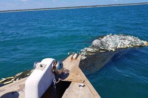 The 2100kg ghost net is destined to be turned into indigenous artworks - @ Fiskerforum