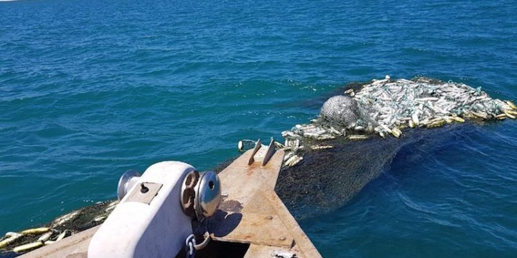 The 2100kg ghost net is destined to be turned into indigenous artworks - @ Fiskerforum