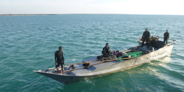 Poachers convicted by Australian court