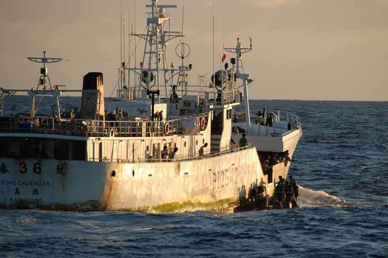 Read more about the article Multinational co-operation targets and catches suspected illegal fishing