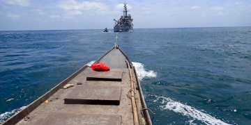 Poachers get fines and prison time for repeat offences