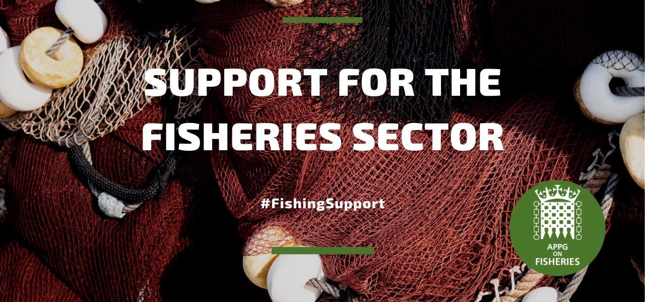 Read more about the article Fisheries APPG goes online to brief MPs