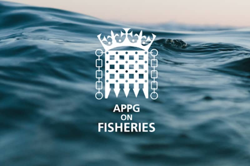 Read more about the article Parliamentarians pull together to promote UK fishing