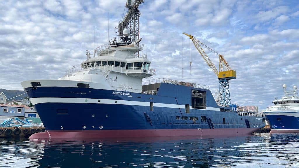 Read more about the article Vision and control for sustainable scalloping