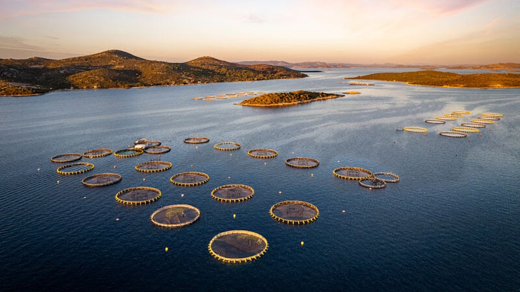 Read more about the article Michelin-starred restaurant sources ASC-certified fish