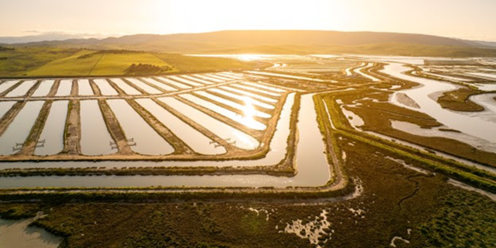 Read more about the article ASC Farm Standard milestone