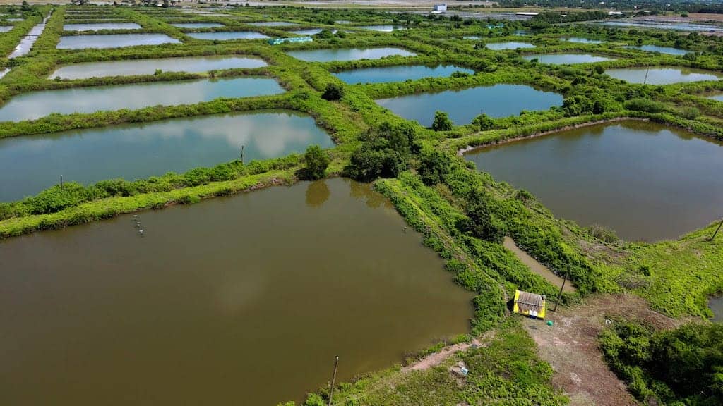 Read more about the article ASC concludes summit visit to Vietnam