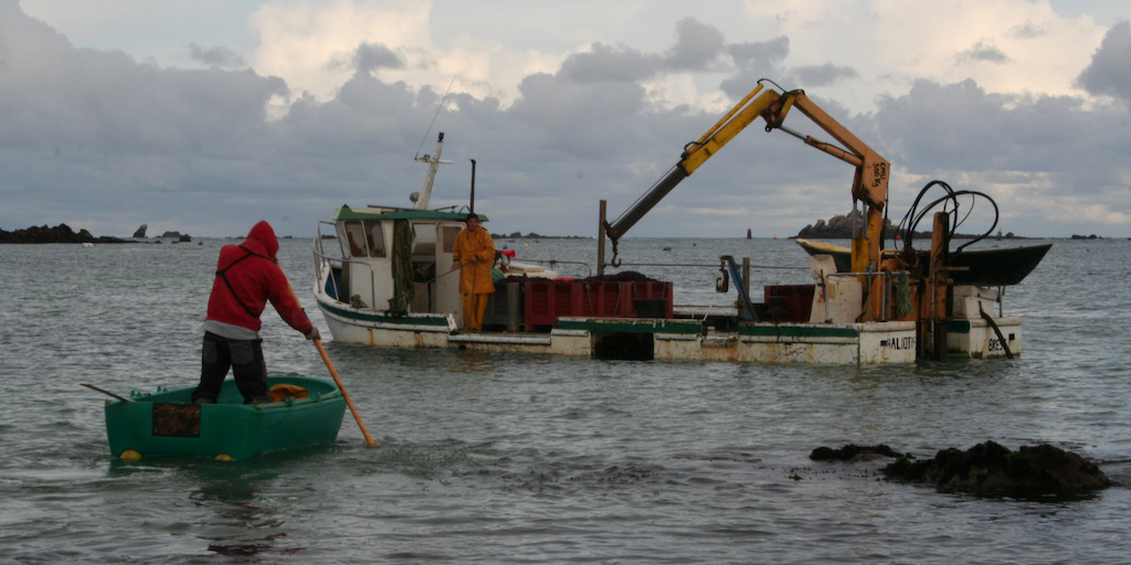 Read more about the article EU approves French State aid for agricultural and aquaculture companies