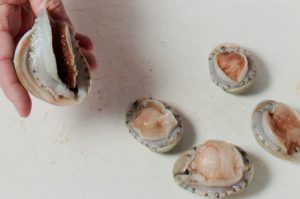 The grape marc-fed abalone also outperformed the other abalone - @ Fiskerforum