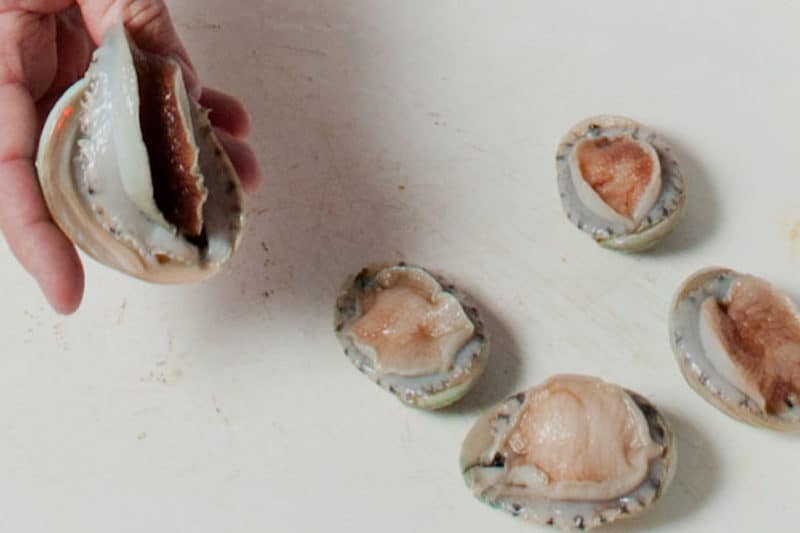 Read more about the article Abalone thrive on wine waste