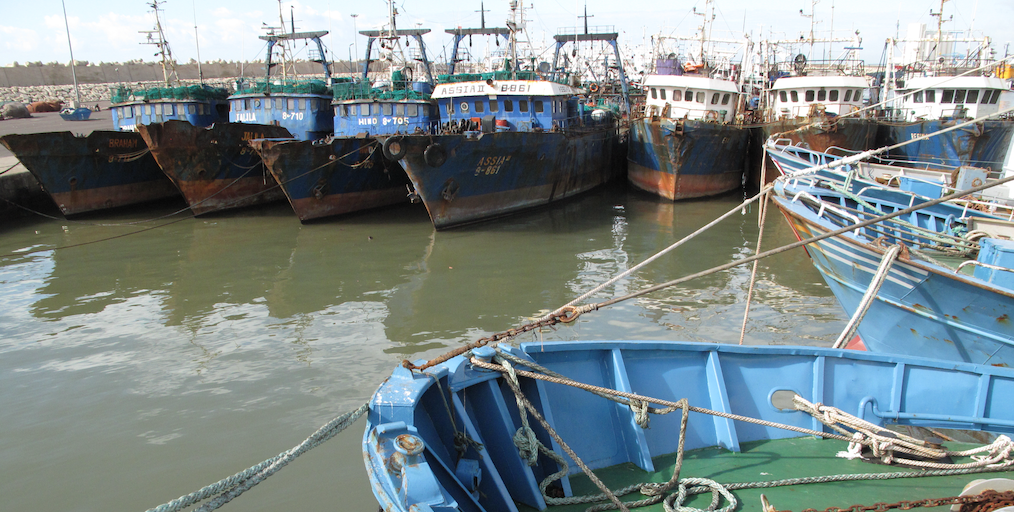 Read more about the article Marking anniversary of Port State Measures treaty