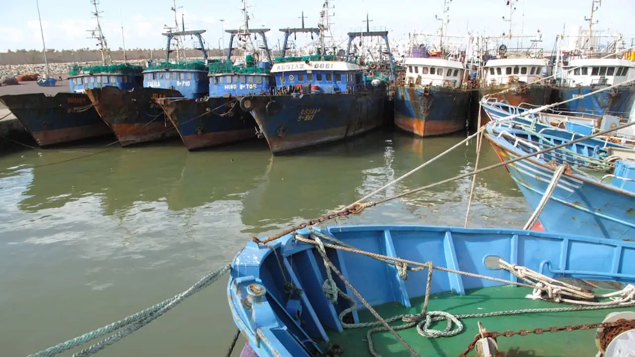 Read more about the article Euro-Moroccan fishing sector unites on court decision annulling EU-Morocco fisheries agreement