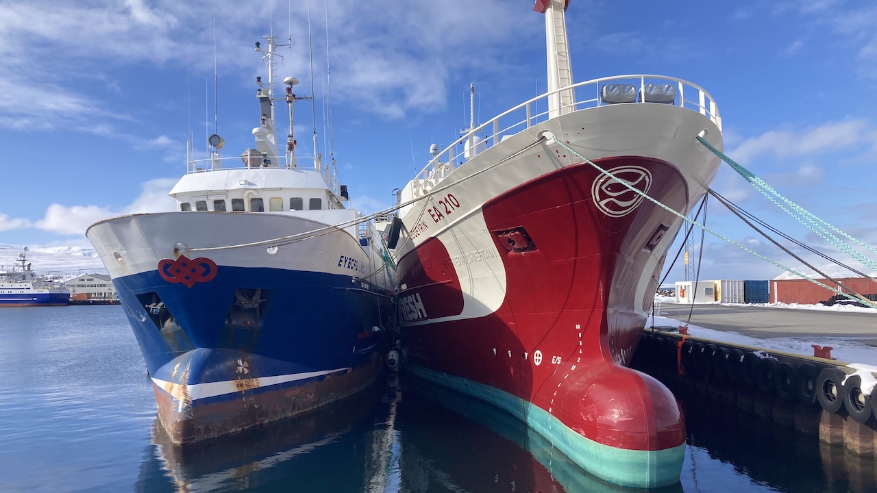 Read more about the article Feathers fly as Iceland seeks to adjust resource levy