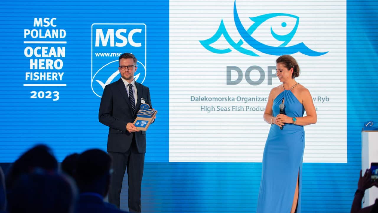 Read more about the article High Seas Fish PO wins MSC award in Poland
