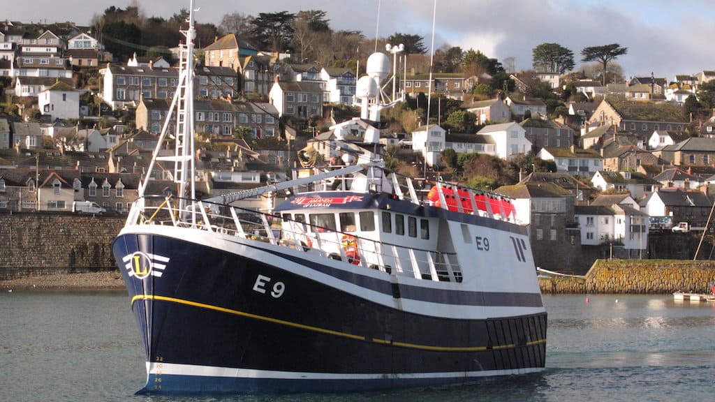 Read more about the article New app spotlights spurdog