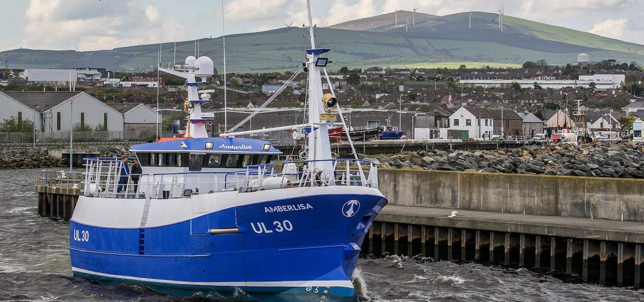 Read more about the article Double fishing order for DuroWipers