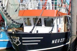 NEU 231 –  Medusa – ©FiskerForum - Foto: AndreasS