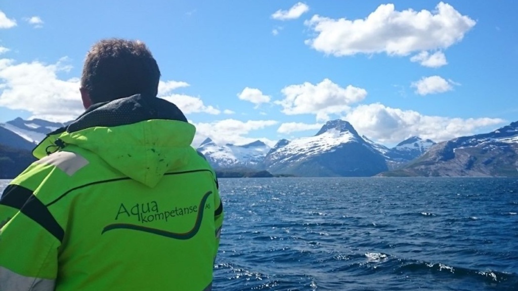 Read more about the article Bluefront buys into Aqua Kompetanse