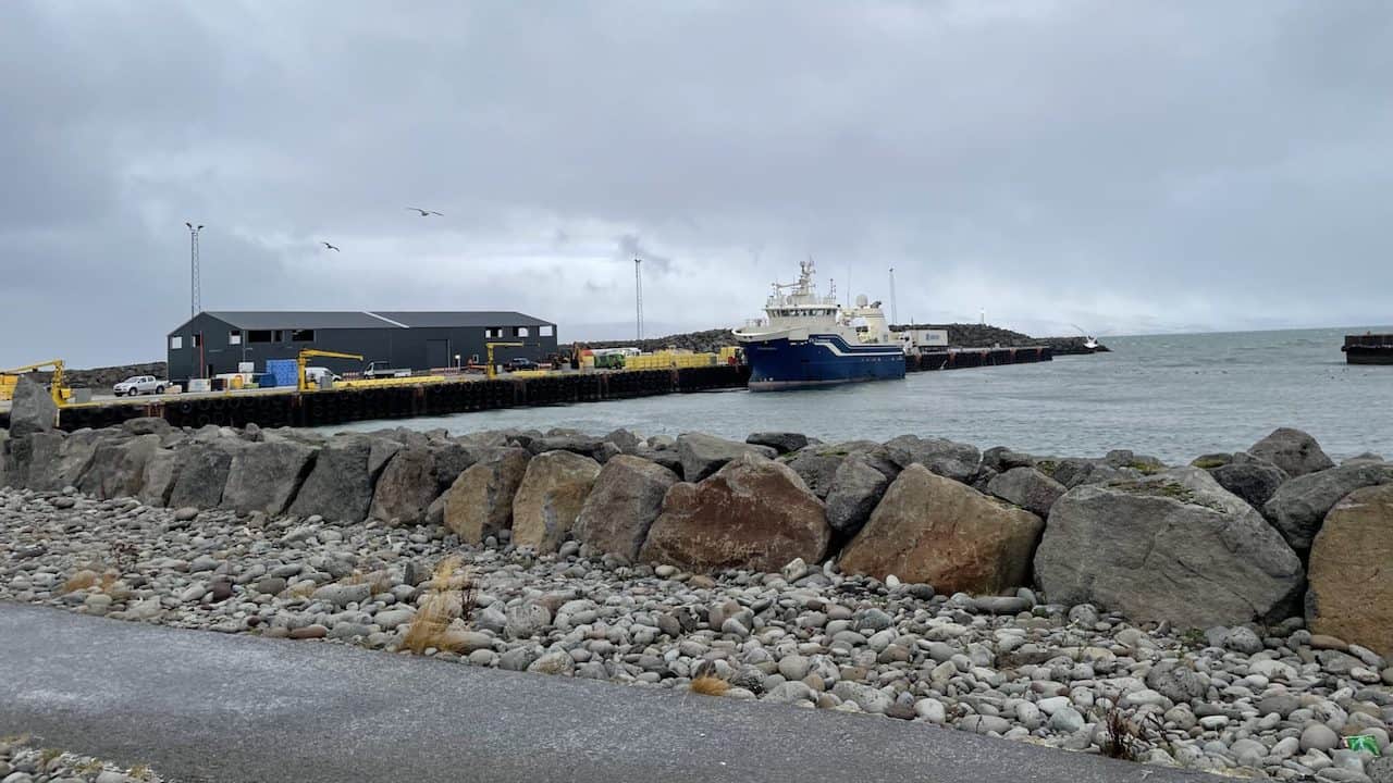 Read more about the article Arctic Fish to set up in Bolungarvík