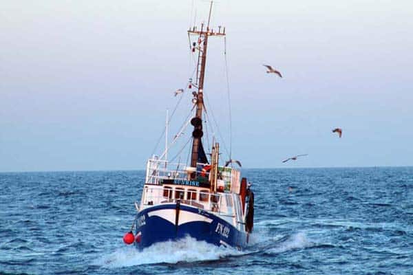 Read more about the article Commissioner Maria Damanaki Welcomes European Parliament support to ban discarding in the Skagerrak
