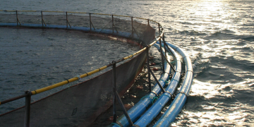 Ocean Board must deliver solutions, not more regulatory burden