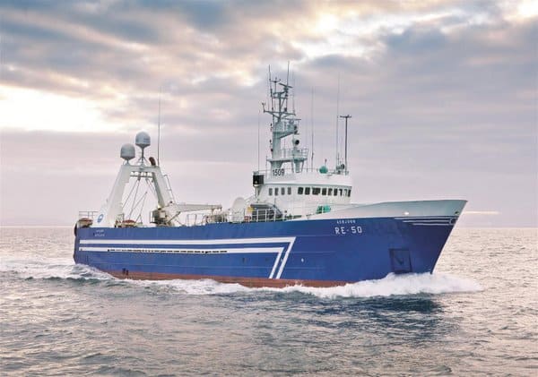 Read more about the article Redfish and saithe looking strong