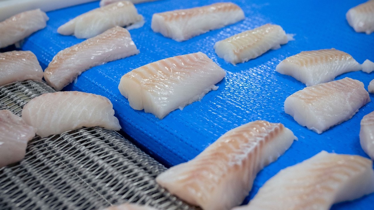 Read more about the article Canada’s Northern cod opportunity to fill the supply gaps