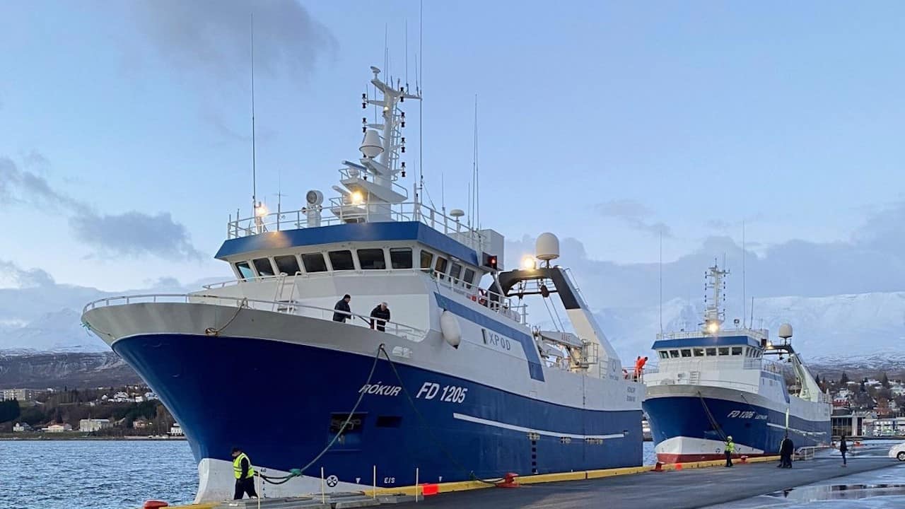 Read more about the article Faroese pair sold to France