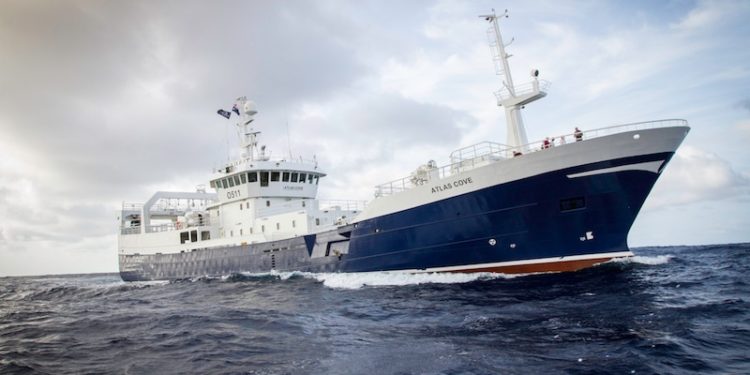 Austral Fisheries' trawler/longliner Atlas Cove - @ Fiskerforum