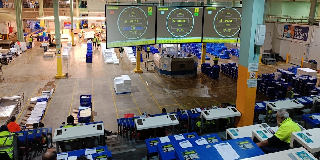 Read more about the article Southern Hemisphere’s largest auction running on KOSMOS