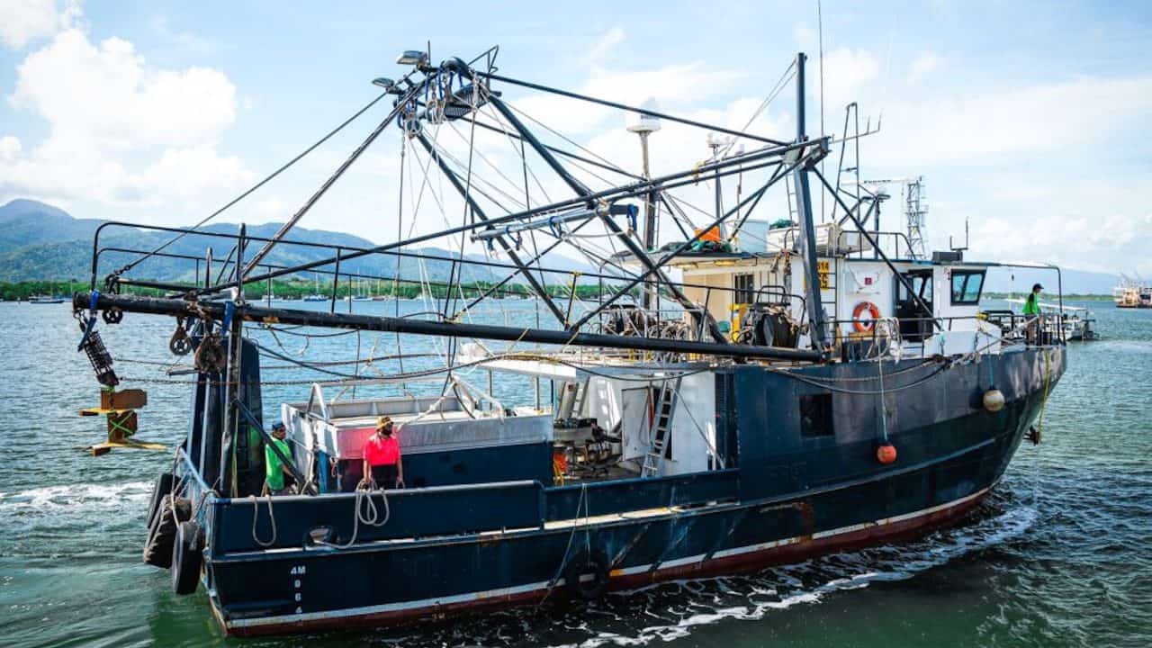 Read more about the article Austral acquires Moreton Bay Seafoods