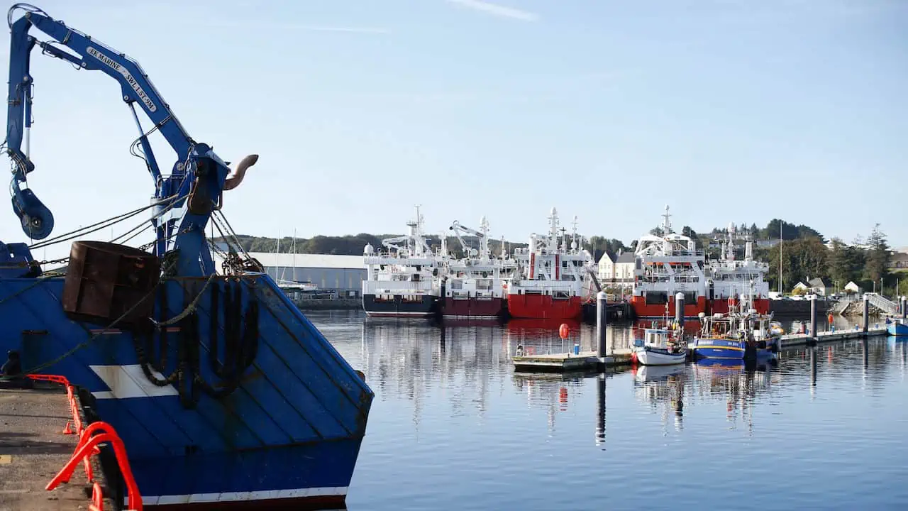 Read more about the article Brexit Reserve supports transformation of Killybegs pelagic processing