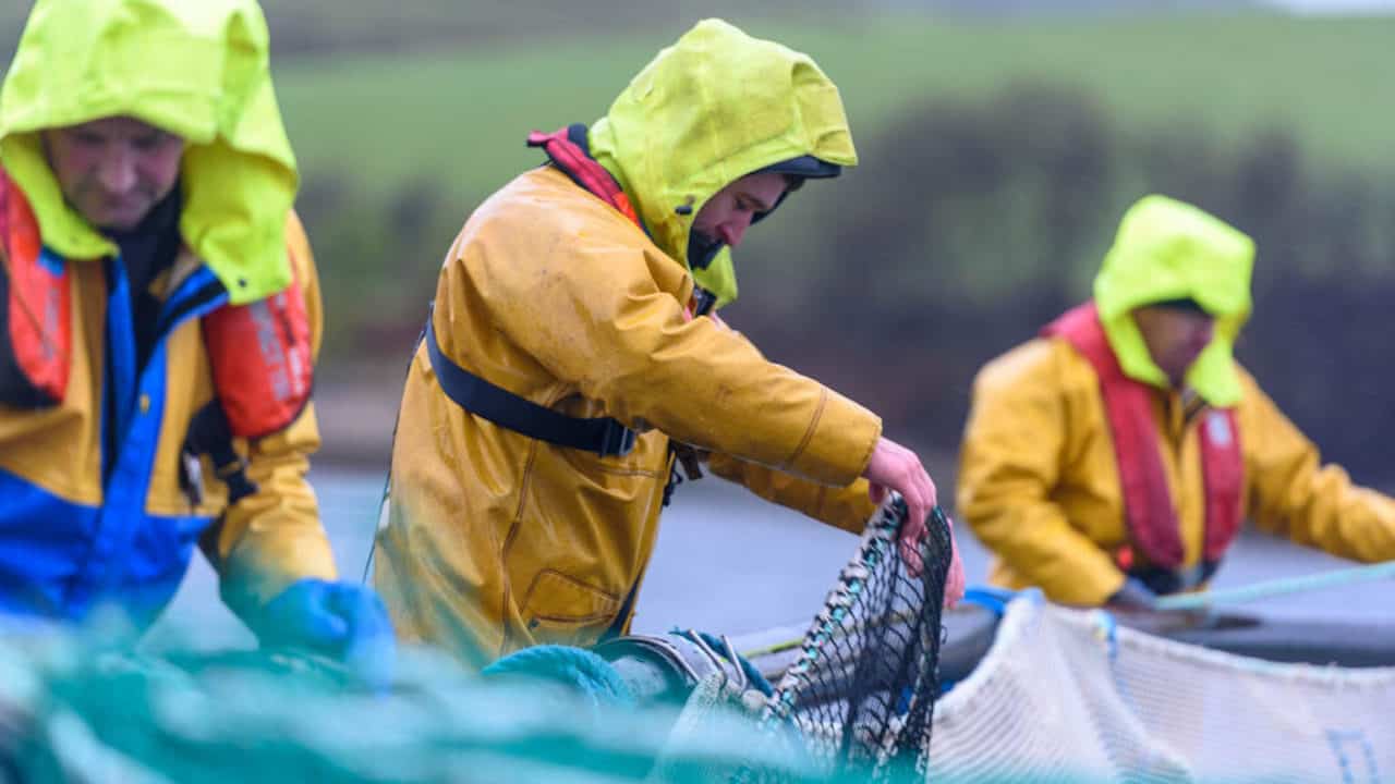 Read more about the article Irish Seafood economy grows to record €1.26 billion value