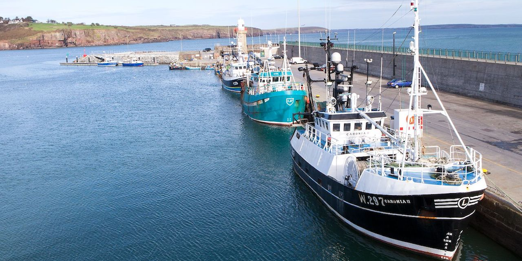 Read more about the article Fury in Irish Dail over ‘Act of Betrayal’