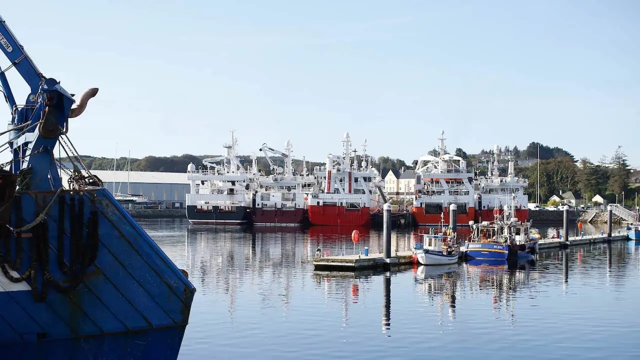 Read more about the article Support strategy to take Ireland’s seafood industry into the future