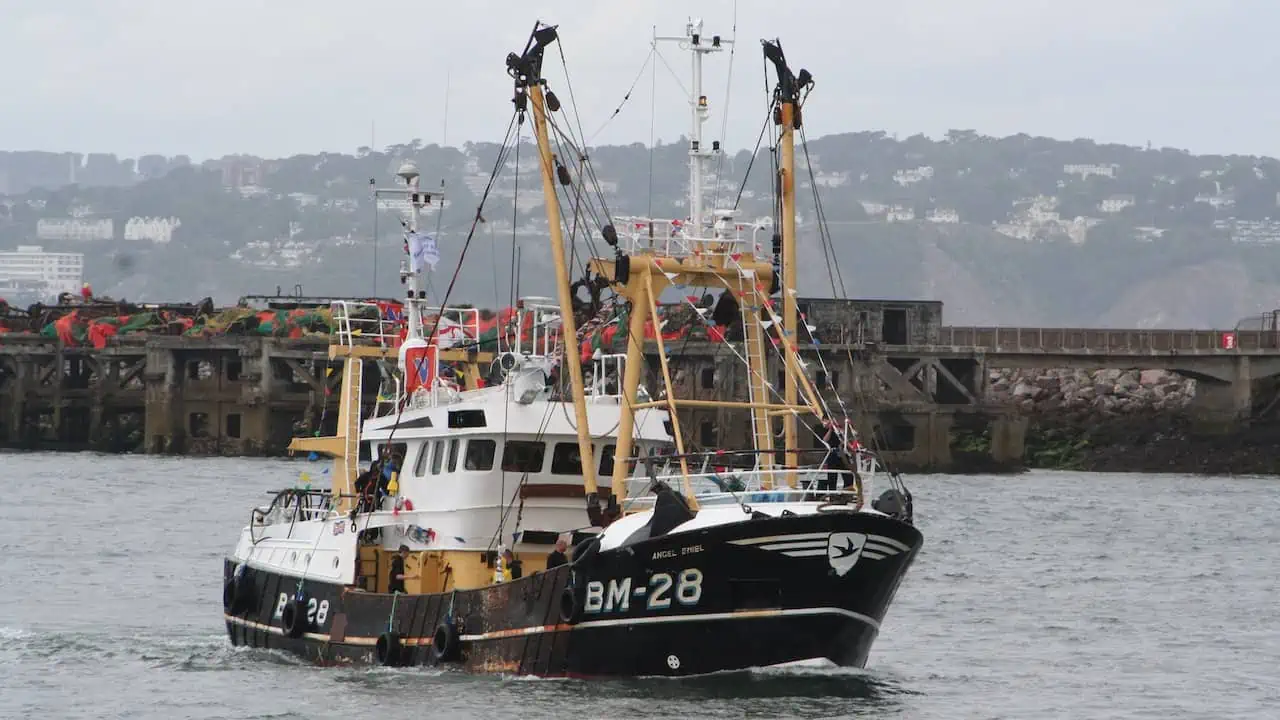 Read more about the article A challenging year for UK fishing, as profits decline