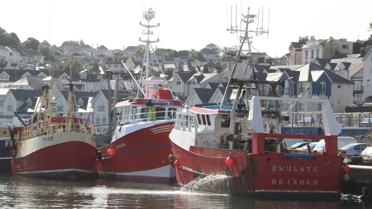 Read more about the article UK adds seafood jobs to Shortage Occupation List