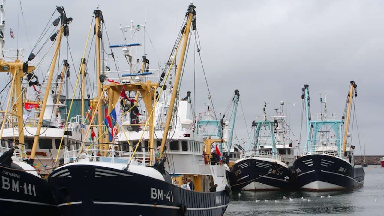 Read more about the article Industry reactions to Joint Fisheries Statement consultation
