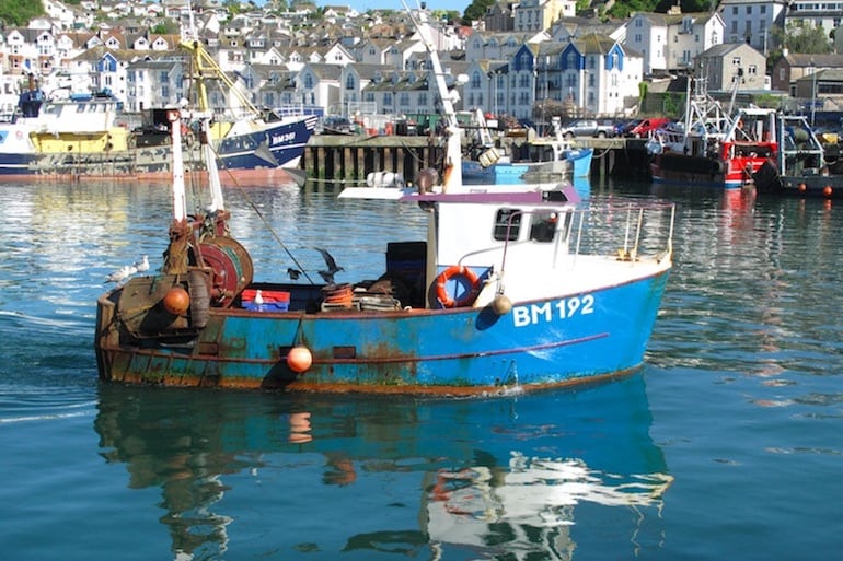 Read more about the article Support for fishing could be vital to UK government’s survival, warns NFFO