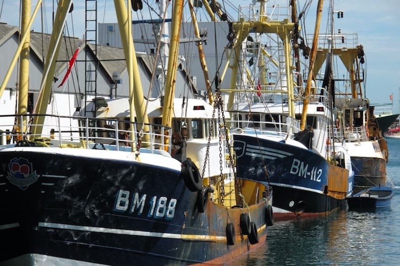 Read more about the article Thailand seeks Brixham’s trawl technology