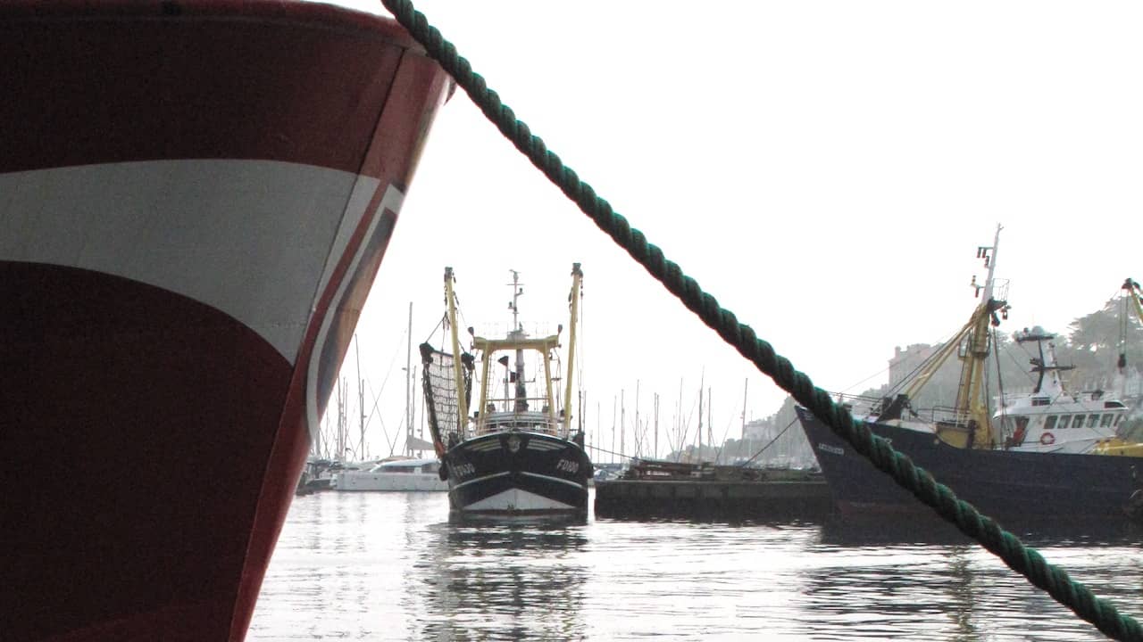 Read more about the article Innovation Fund to support sustainable future for UK Seafood Sector​