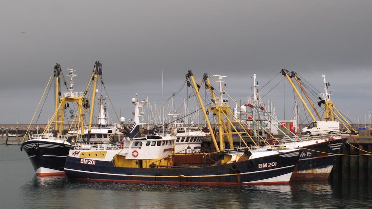 Read more about the article UK authorities seek views on the Joint Fisheries Statement