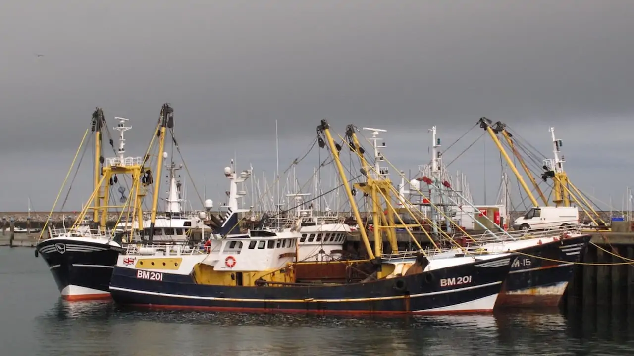 Read more about the article UK federations consider EU fisheries deal implications