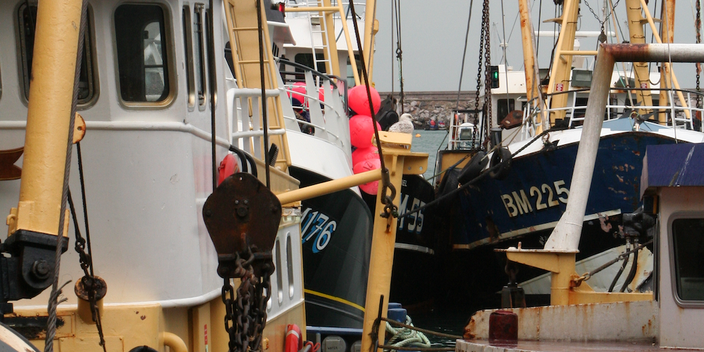 Read more about the article Call for evidence to shape UK fisheries action plan