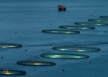 First salmon producer certified to new ASC Farm Standard