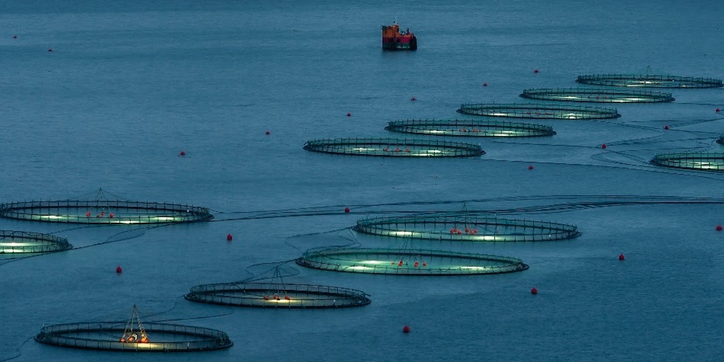 Read more about the article First salmon producer certified to new ASC Farm Standard